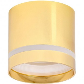 Накладной потолочный светильник IEK Lighting 4016 под лампу gx53 золото