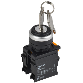 Переключатель с ключом на 2 положения IEK MASTER MI-SW60-11Y-3-34-2-K02 1NO+1NC чёрный